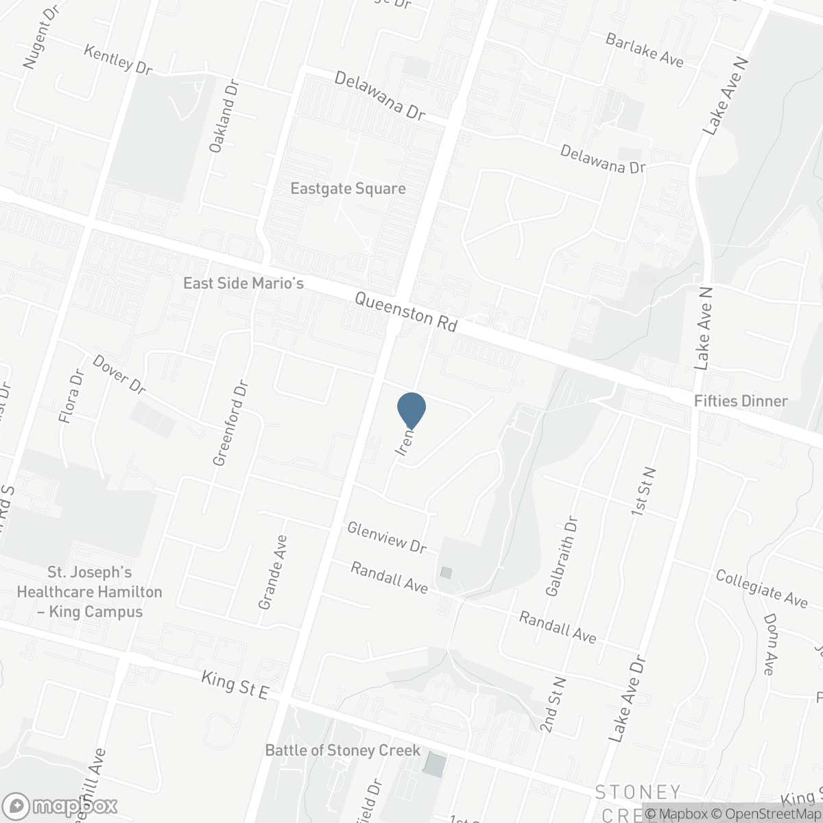 101 IRENE Avenue, Hamilton, Ontario L8G 2B1